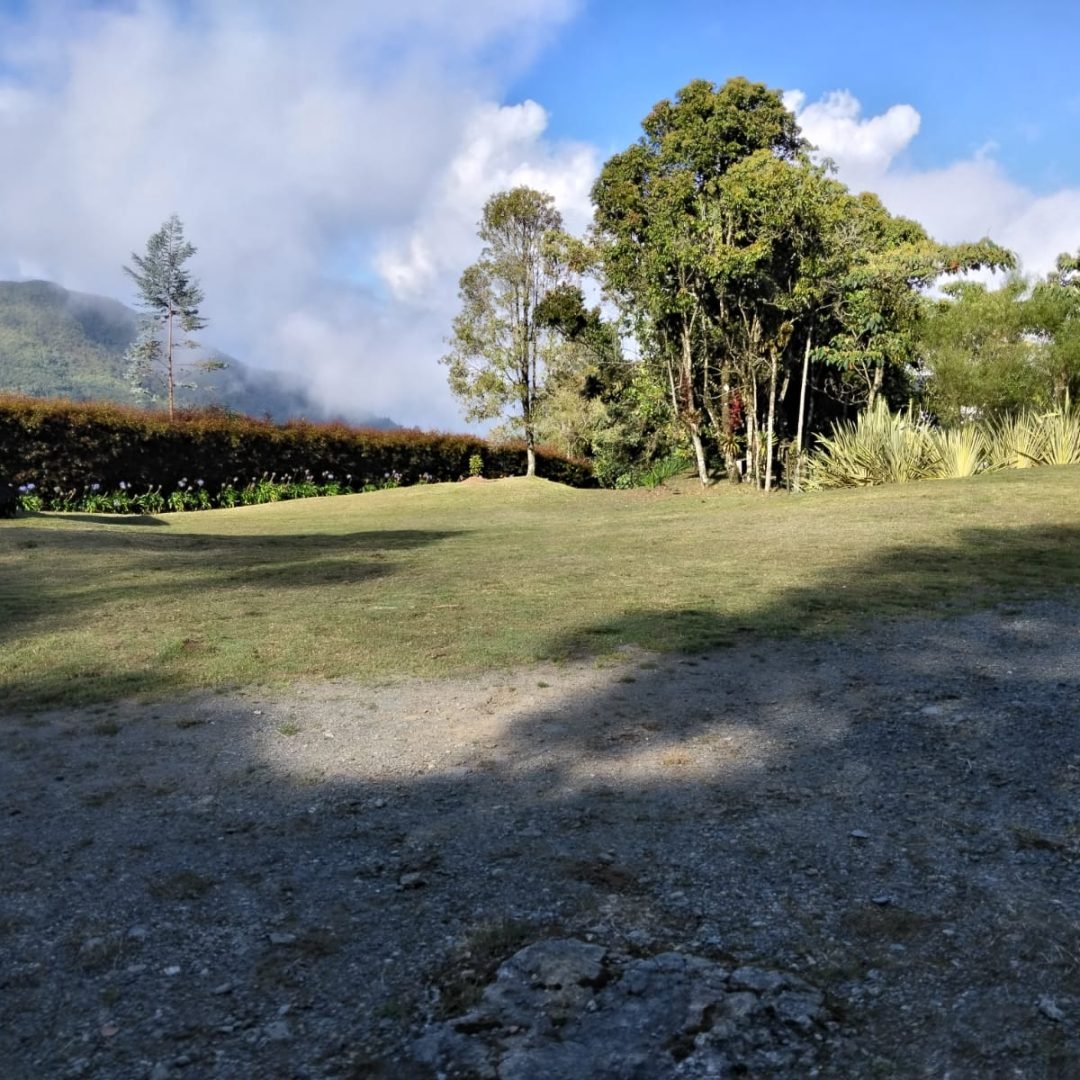 IMG-20260508-WA0011